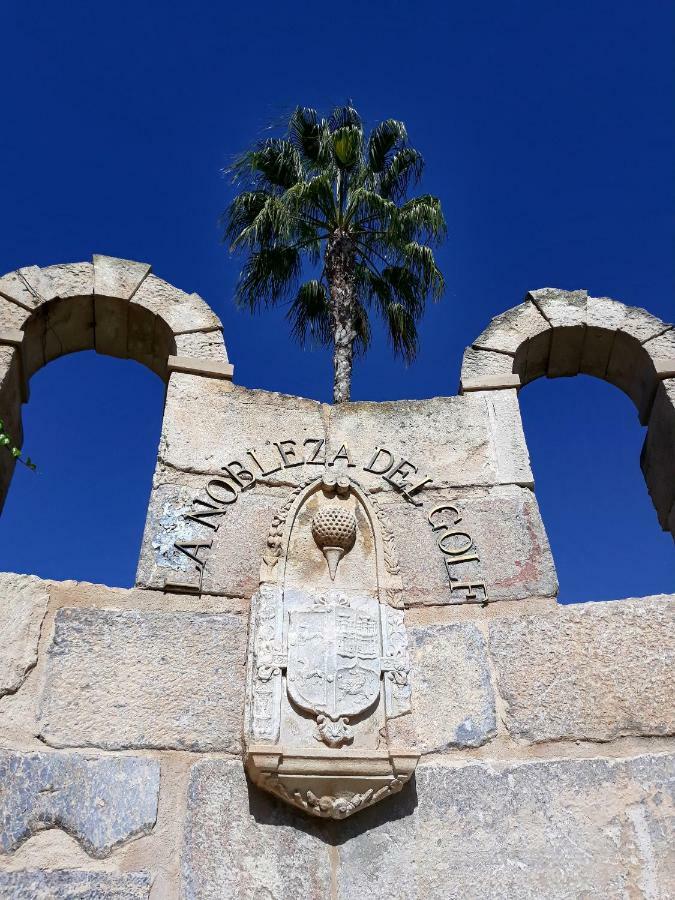 Fabulous Detached Large Villa 5 Bedrooms 3 Bathrooms Backing Onto Villamartin Golf Course Esterno foto